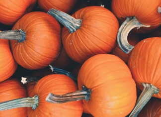 La zucca: regina degli ortaggi d’autunno