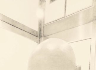 Stefano Zucchinali, uomo del fare