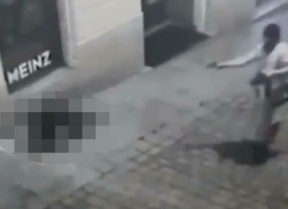 Vienna, cinque morti. Ucciso il terrorista simpatizzante dell’Isis