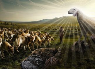 La messe è molta, ma gli operai sono pochi