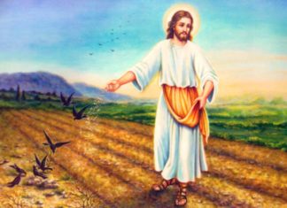 Esso è come un granellino di senapa,,,