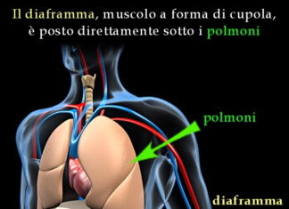 La respirazione nel Bel Canto