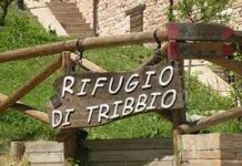 IL CAMMINO VERSO MONTE LAGO CONTINUA