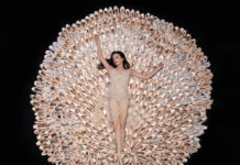 Il Festival Cittanova Danze