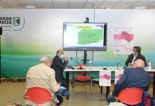 Convegno: “Il dolore. La rete Regionale, l’utilizzo dei farmaci, l’esperienza”