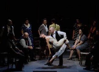 L’OPERA ACCESSIBILE